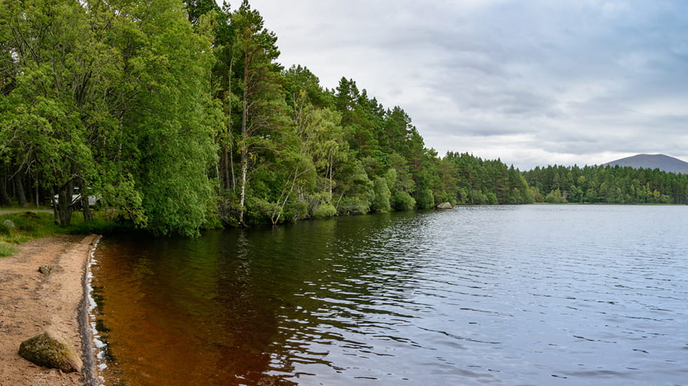 Family walking trails Loch Garten Highlands